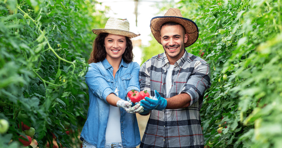 Smiling couple in a farm holding fresh tomatoes, showcasing small business savings and agricultural success.